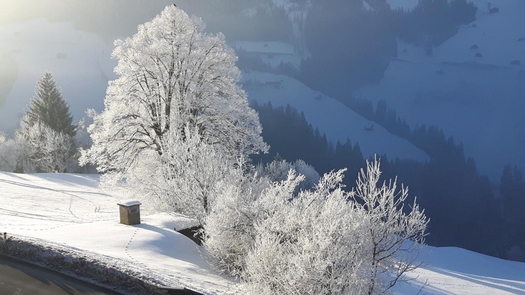 Appartamento Haus Panorama Gerlosberg Esterno foto