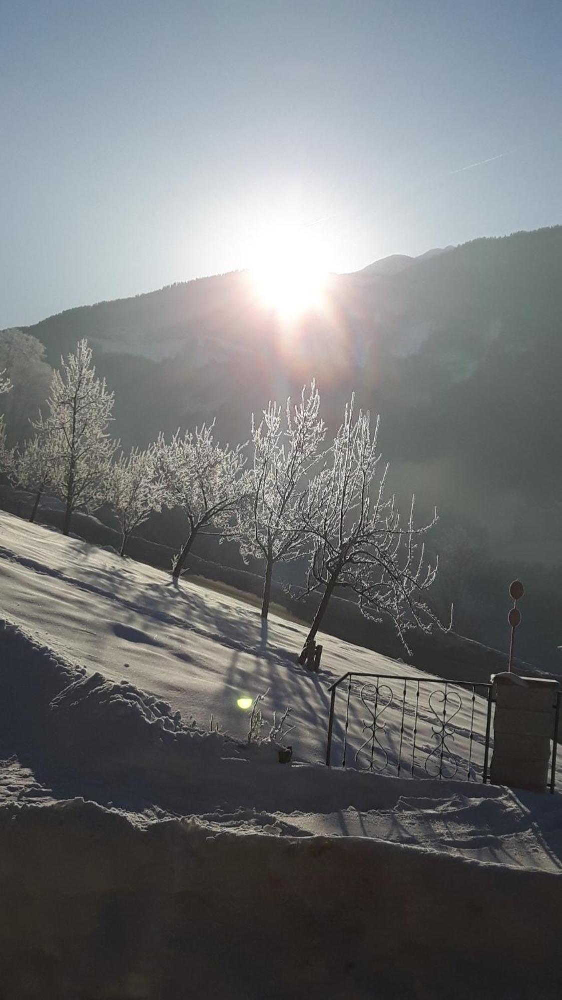 Appartamento Haus Panorama Gerlosberg Esterno foto